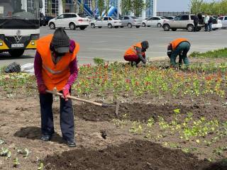 В Семее начались работы по озеленению