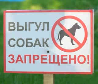 В центре Семея запретили гулять с собаками