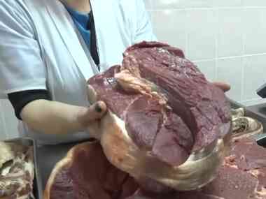 Импорт конины увеличил Казахстан