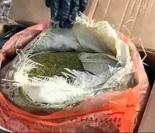 В области перекрыт канал перевозки наркотиков в особо крупном размере