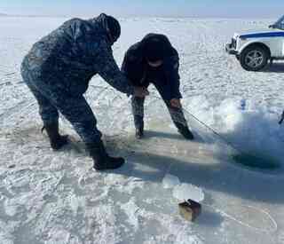 В области проведены рейды против браконьеров