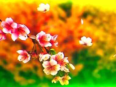 Первый месяц весны обещает быть теплым