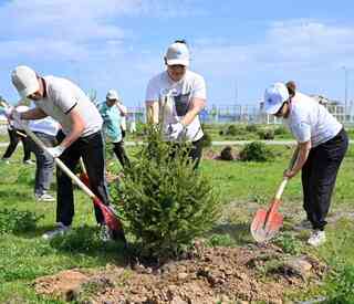 Аким области Берик Уали обратился к жителям региона