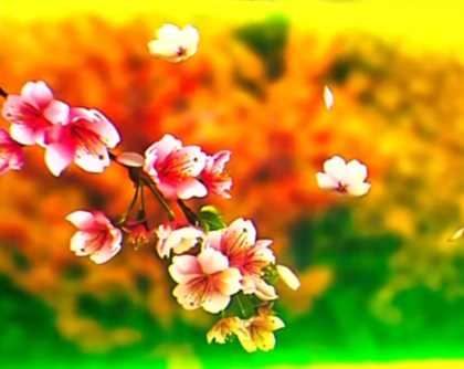 Первый месяц весны обещает быть теплым