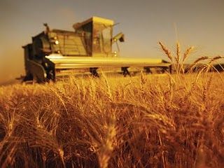 Аграрное хозяйство