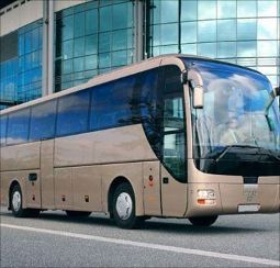 Автобусы, выпускаемые в Семее