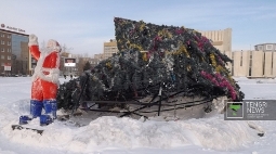 В Семее упала елка