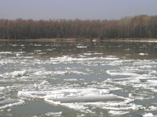 Паводки