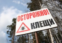 Осторожно клещи
