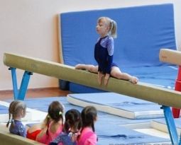 Спортивная гимнастика