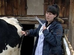 Искусственное осеменение