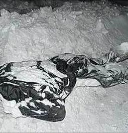 Труп в снегу