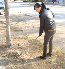 Субботник