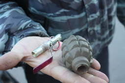 Граната Ф-1