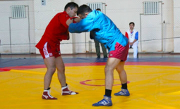 Чемпионат по самбо в Семее