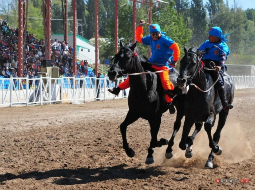 Всемирные скачки кочевников