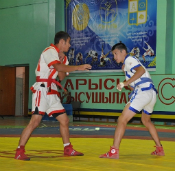 Казакша куреси