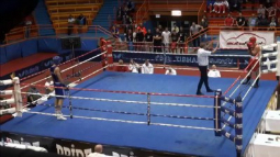 Бой Видо Лончара