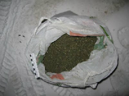 Марихуана