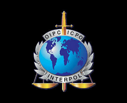 Интерпол