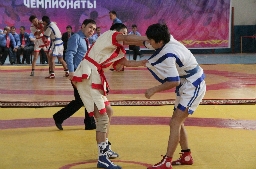 Чемпионат по самбо