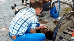 Нападение на девушек в Алматы