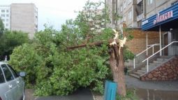 Последствия урагана в Семее
