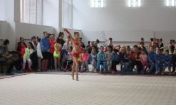 Художественная гимнастика