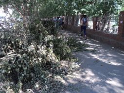 Последствия урагана в Семее