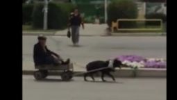 Кадр видео