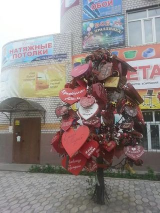 Дерево любви в Семее