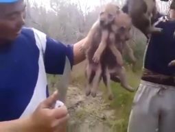 Кадр видео