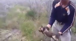 Кадр видео