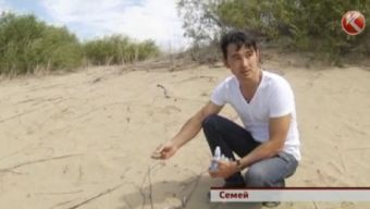 Кадр видео