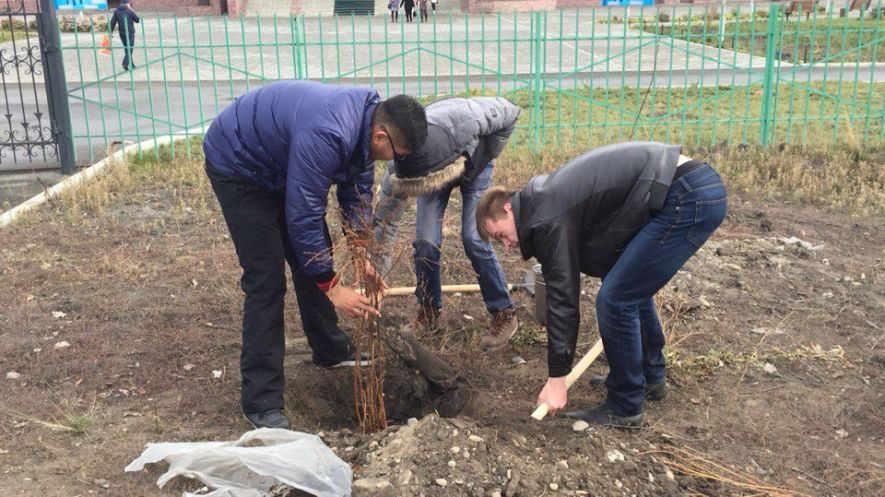Акция по посадке деревьев в Семее