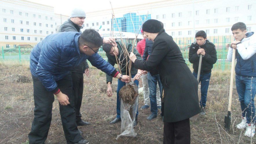 Акция по посадке деревьев в Семее