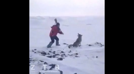 Кадр видео