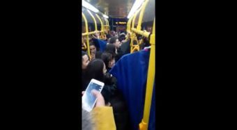 Кадр видео