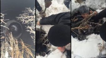 Девочка упала в колодец