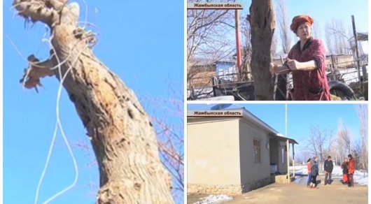 Коллаж