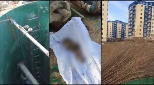 Младенца нашли в канализации в Шымкенте
