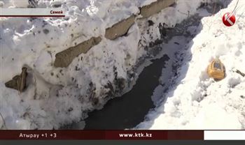 Улицу Цветочную в Семее заливает фекалиями