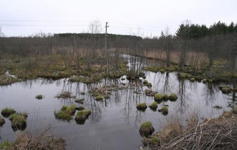 Болото