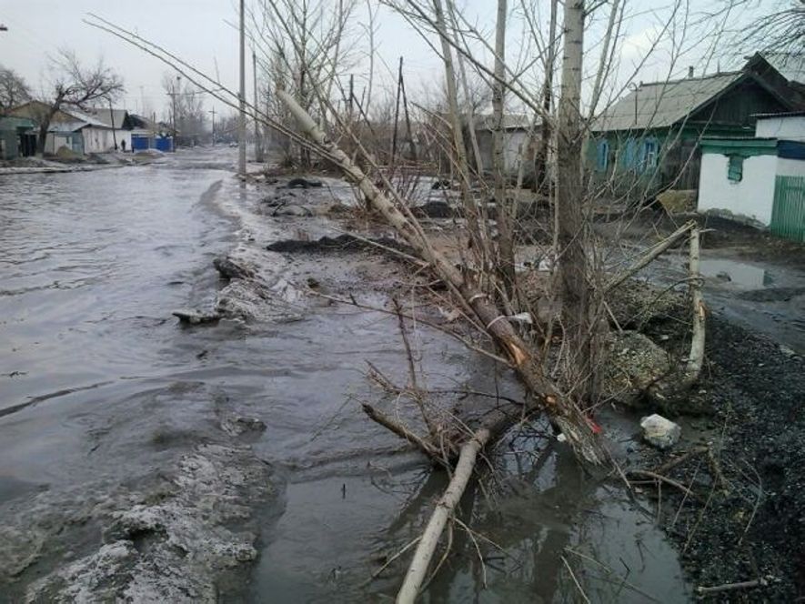 Семей топит талыми водами