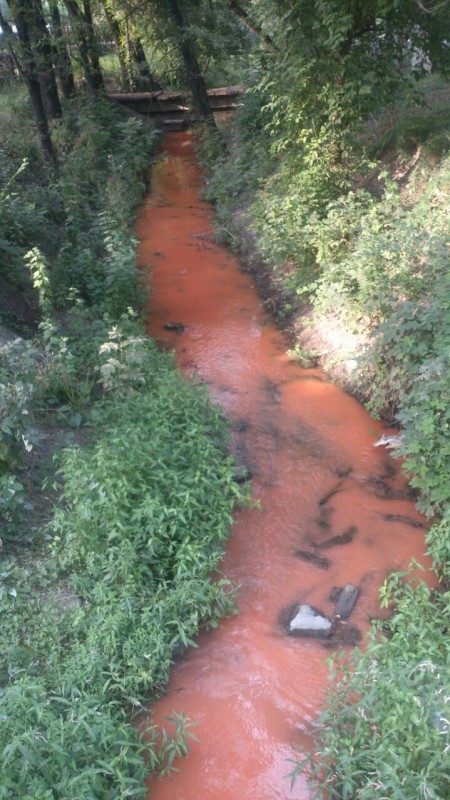 В красный цвет окрасилась вода в алматинской речке