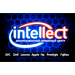 логотип ТОО «INTELLECT СЕРВИС»