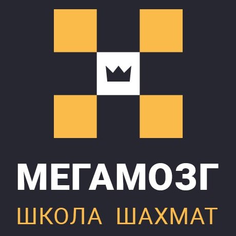 логотип школа шахмат «МЕГАМОЗГ»