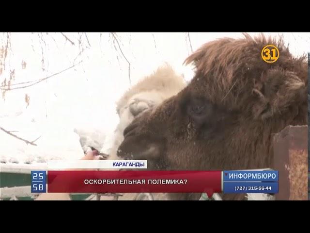 В Караганды директор зоопарка требует наказать волонтера за комментарий в соцсетях