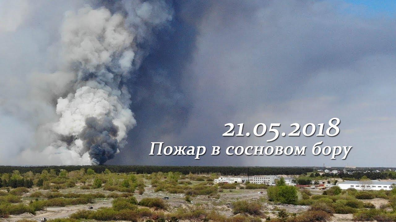 Пожар в сосновом бору. Семей, 21 мая. 2018 Пожар в сосновом бору. Семей, 21 мая. 2018