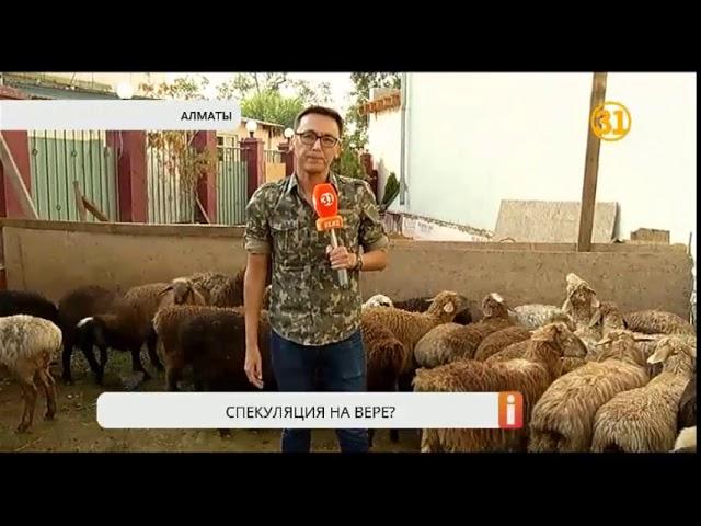 В дни Курбан-айта подскочили цены на жертвенных животных В дни Курбан-айта подскочили цены на жертвенных животных